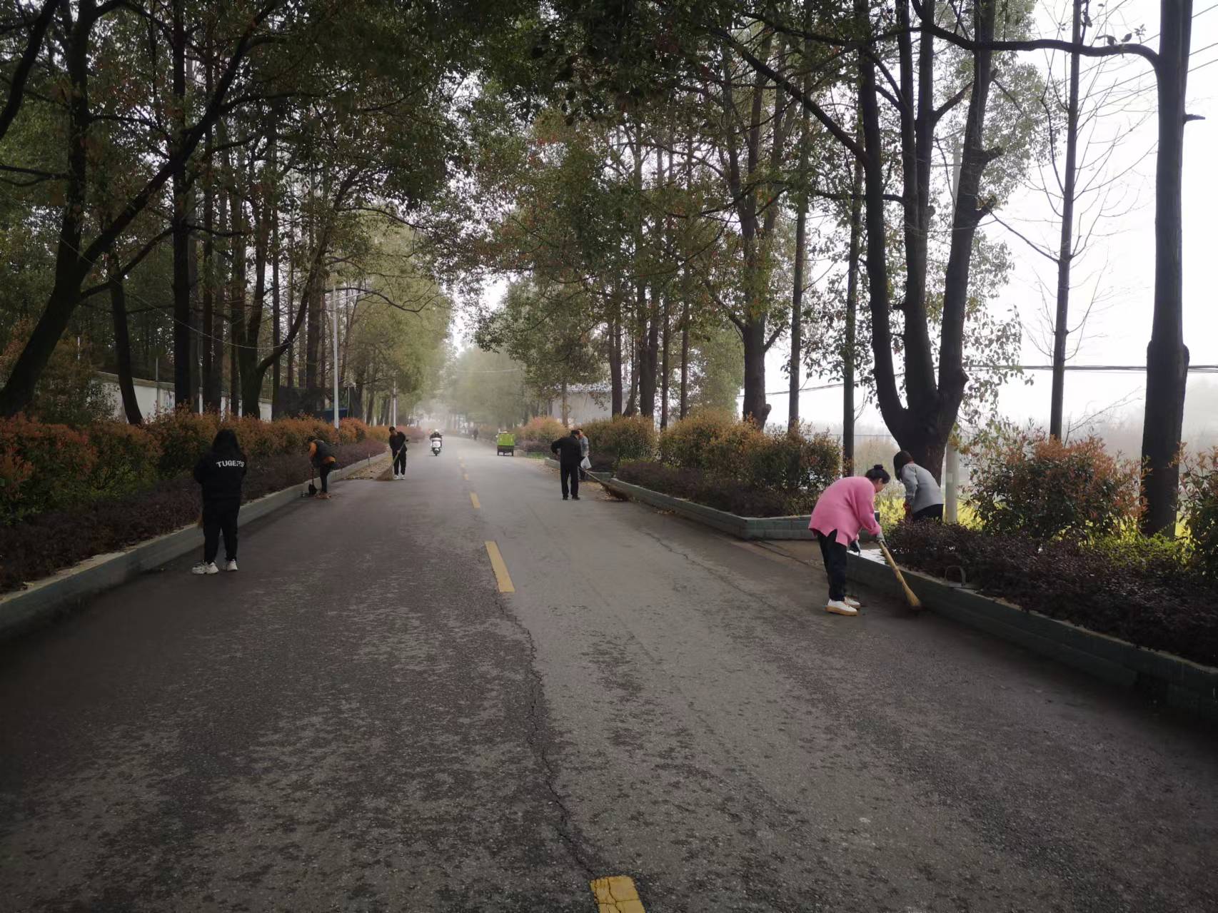 261711443871137981.jpg 261711443871137981.jpg