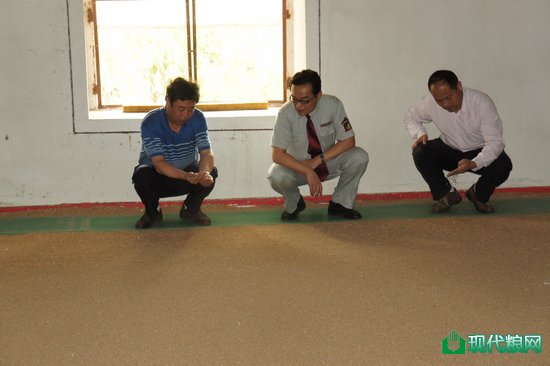 省公司领导查看储粮情况