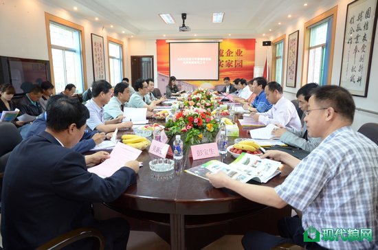 座谈汇报会现场