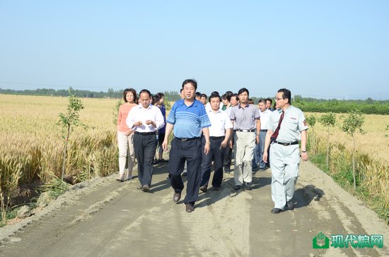 参观团查看夏粮长势